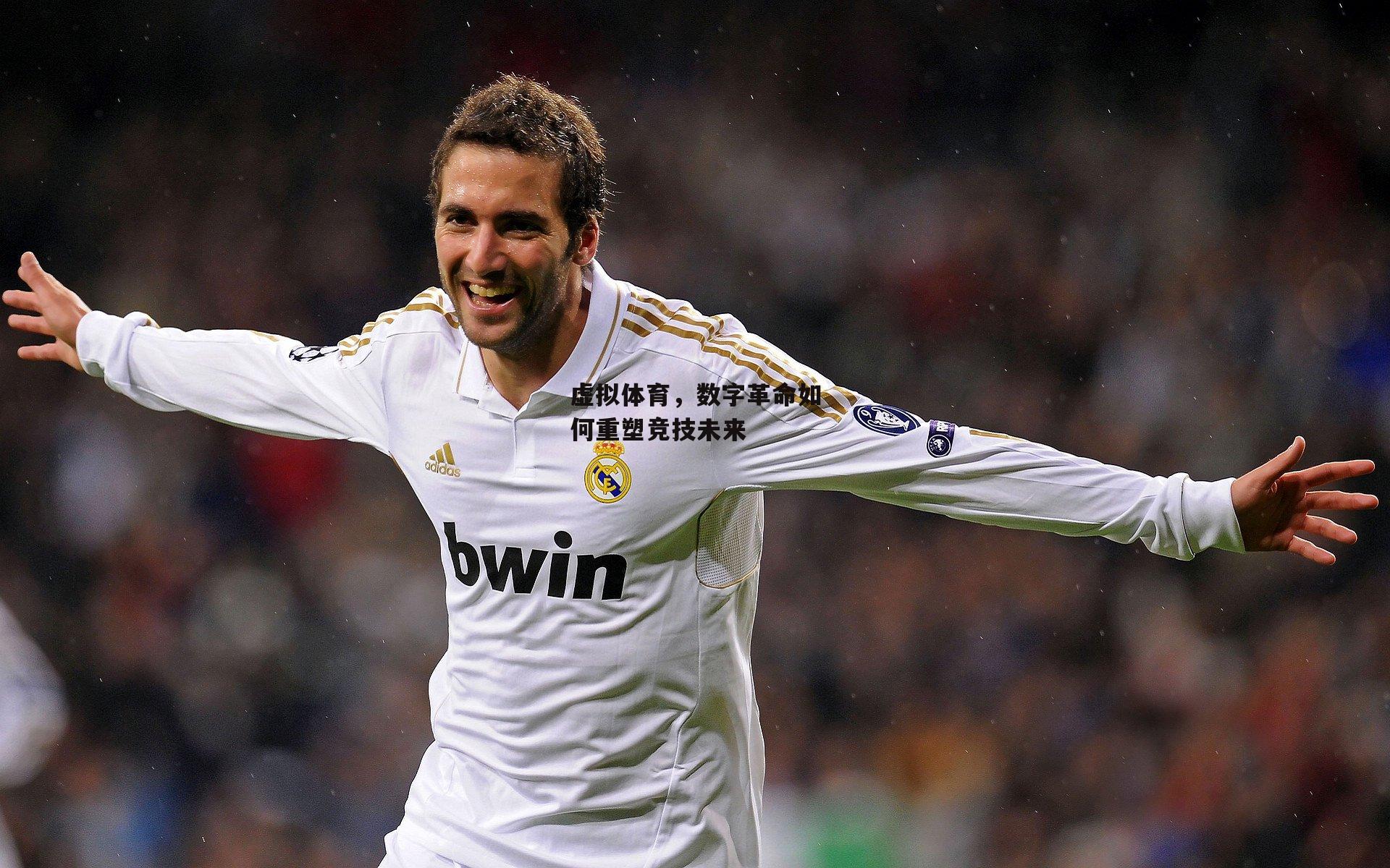 虚拟体育，数字革命如何重塑竞技未来