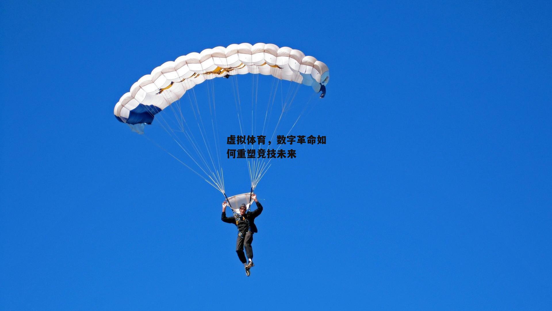 虚拟体育，数字革命如何重塑竞技未来